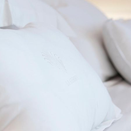 Hotel La Gemma 佛罗伦萨 外观 照片 A pillow
